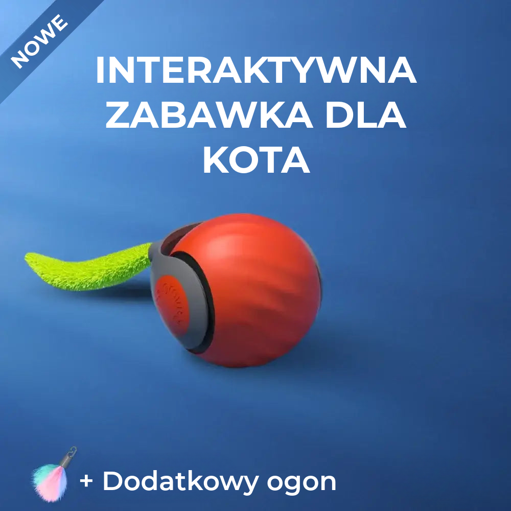 Interaktywna zabawka dla kota