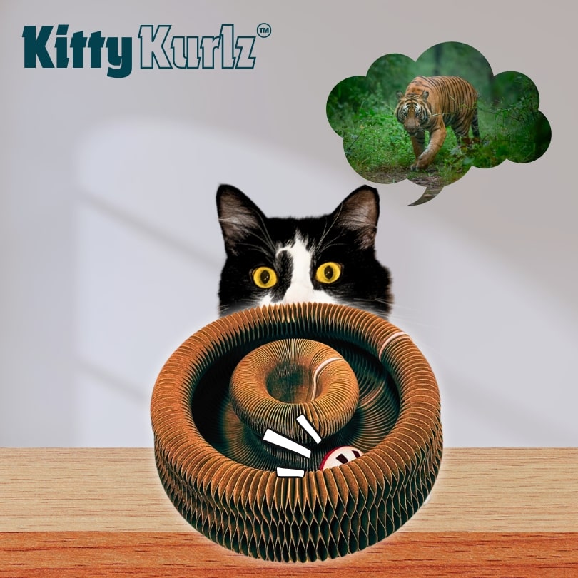Kitty Kurlz™ Zabawka dla Kota