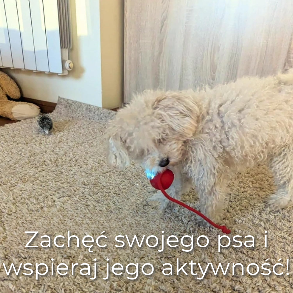 Interaktywna Zabawka