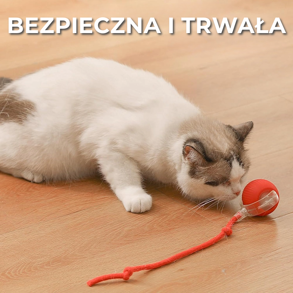 Interaktywna Zabawka