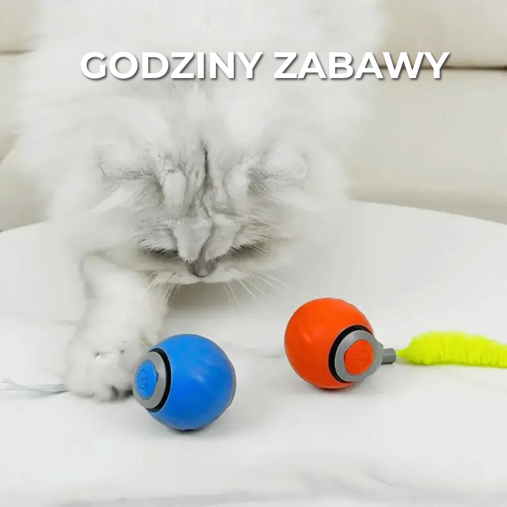 Interaktywna zabawka dla kota