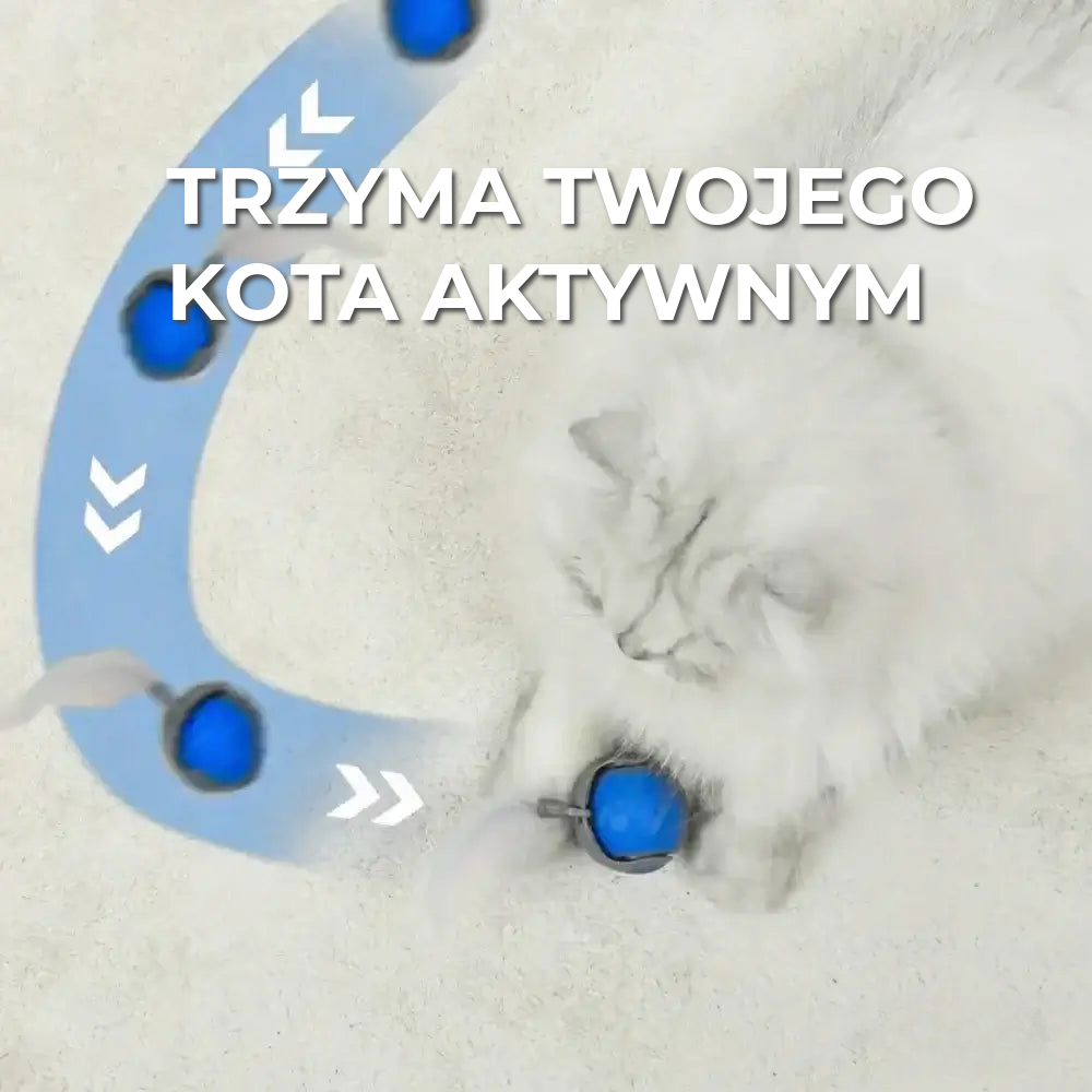 Interaktywna zabawka dla kota