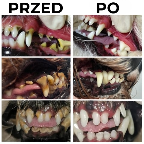 Profesjonalny Żel do Naprawy Zębów