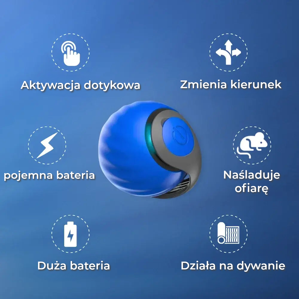 Interaktywna zabawka dla kota