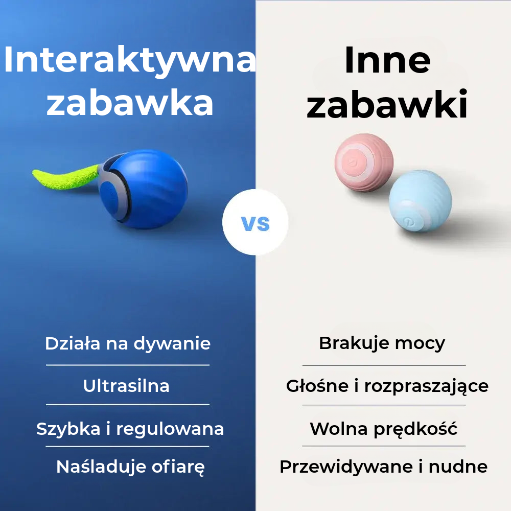 Interaktywna zabawka dla kota