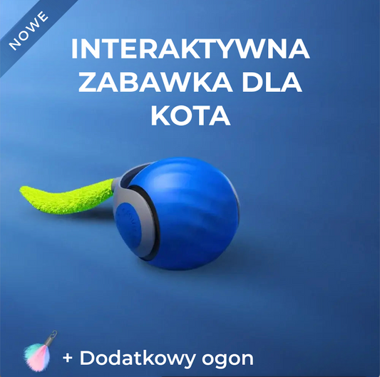 Interaktywna zabawka dla kota