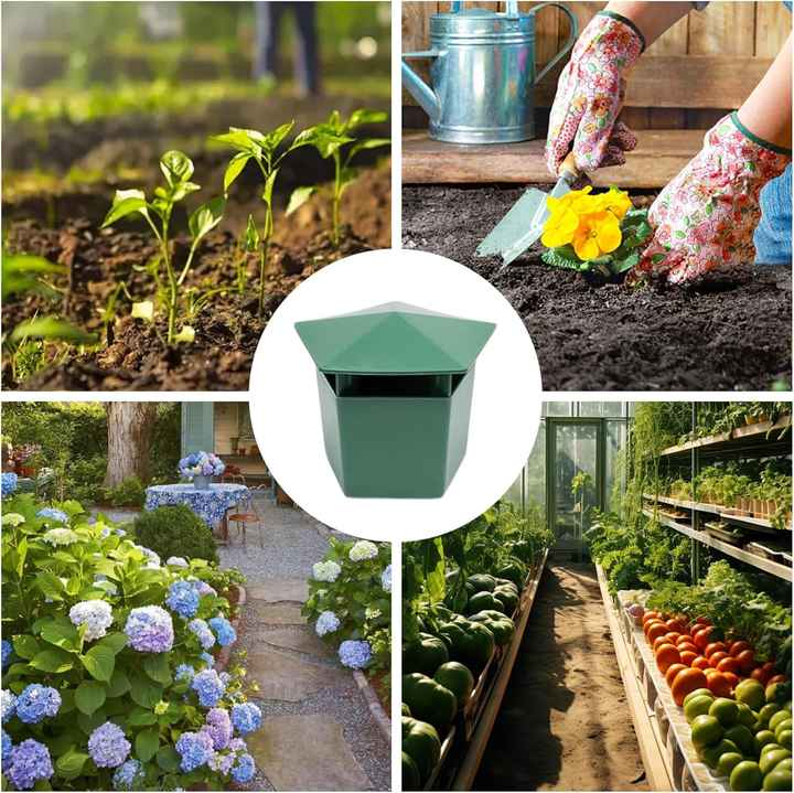 Profesjonalna pułapka na ślimaki