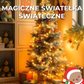 Magiczne Światełka Świąteczne