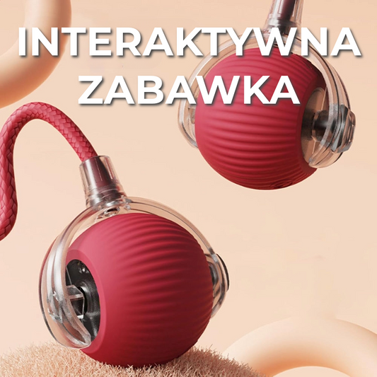 Interaktywna Zabawka