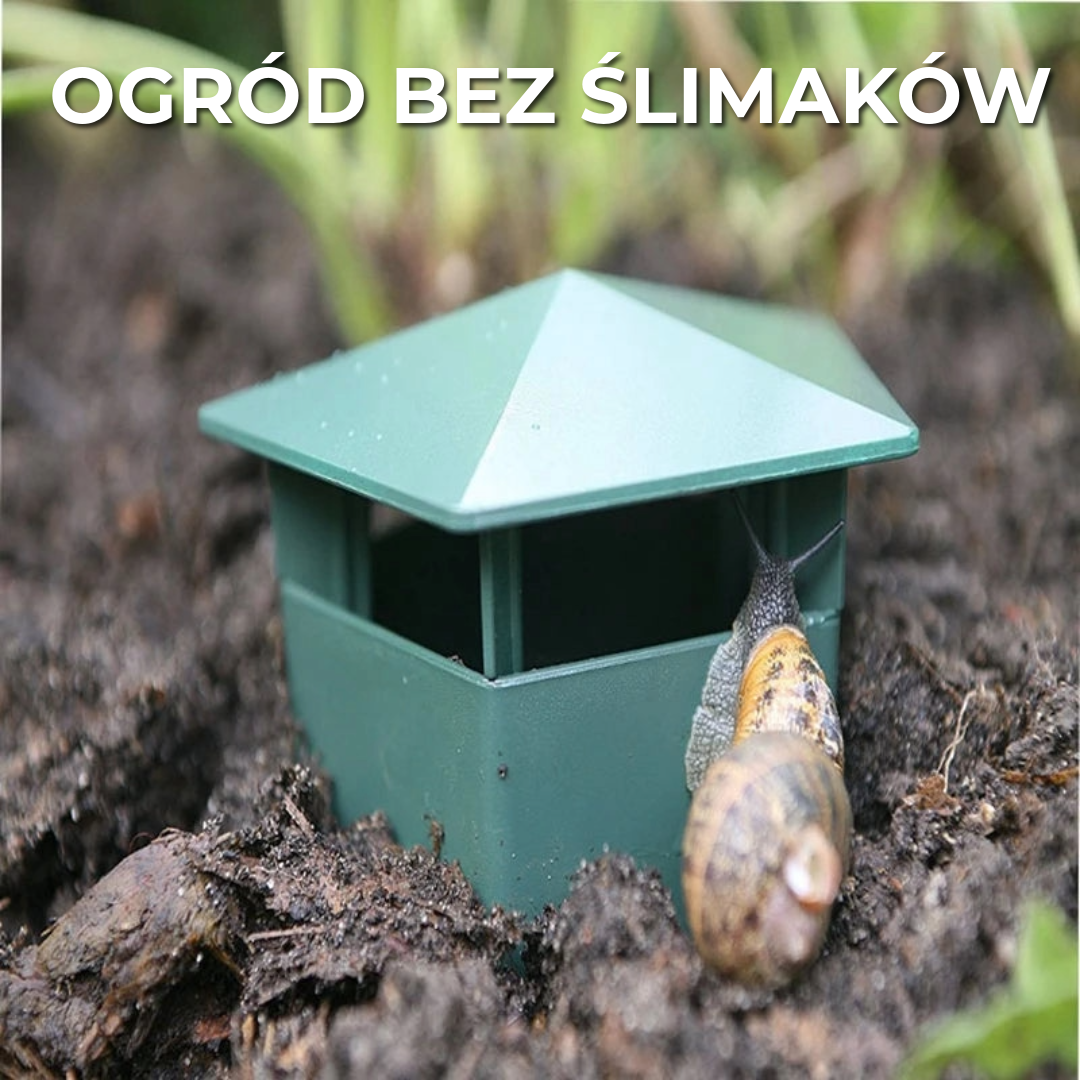 Profesjonalna pułapka na ślimaki